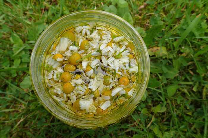 Atelier confection de baumes aux plantes Maison du parc naturel régional du Morvan Saint-Brisson