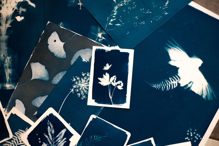 Atelier cyanotype privatisé, Ateliers Octopodes, Chambéry