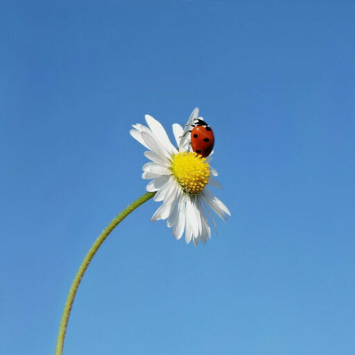 Atelier de bibliothérapie : les petits bonheurs, Bibliothèque Capucins/Saint-Michel, Bordeaux