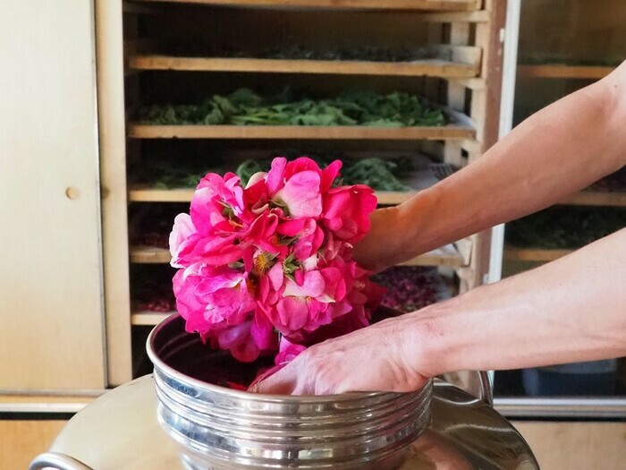 Atelier de distillation et découverte du jardin des roses, Les Jardins du Cabri, Sepmes