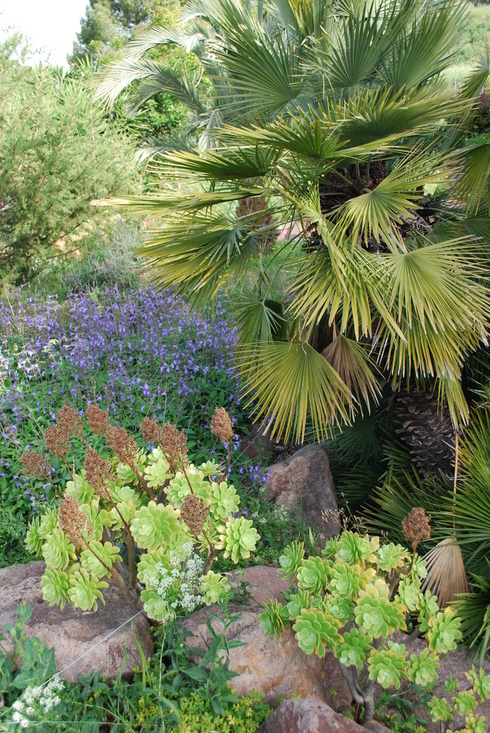 Atelier de rempotage de plantes aromatiques, Jardin botanique, Nice