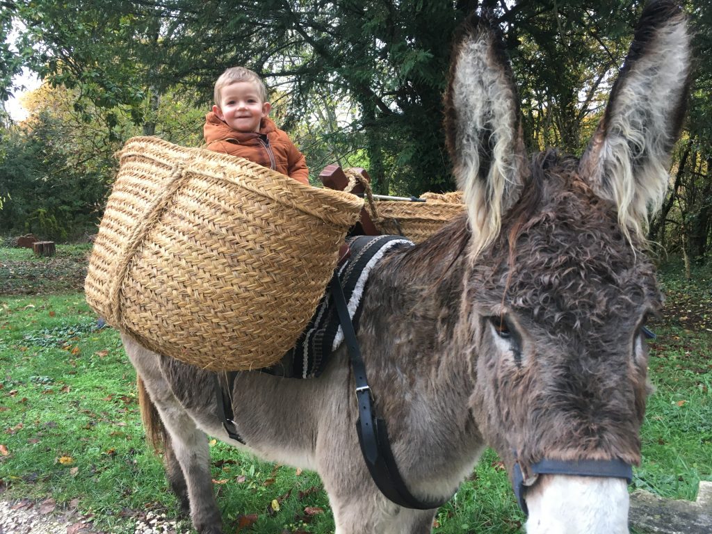 Atelier découverte de l'âne et fabrication de savon au lait d'ânesse Allée de Brochard Saint-Front-d'Alemps 2026-08-19
