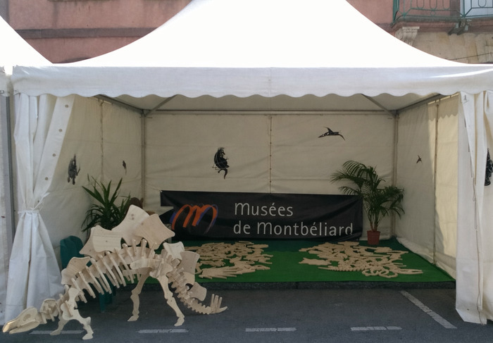 Atelier découverte « Dino-puzzle » Musée du château des ducs de Wurtemberg Montbéliard
