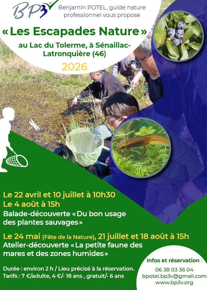Atelier-découverte La petite faune des mares et zones humides au lac du Tolerme lac du tolerme Sénaillac-Latronquière 2026-05-24