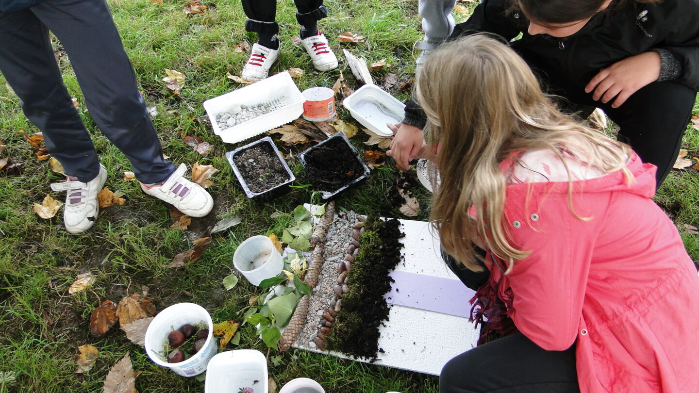 Atelier découverte pour enfants (8-11 ans) Maison de la Réserve Rochechouart 2026-08-12