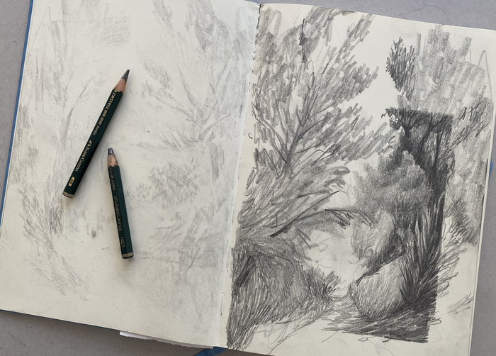 Atelier dessin avec Cédric Torne Jardin antique mediterranéen Balaruc-les-Bains