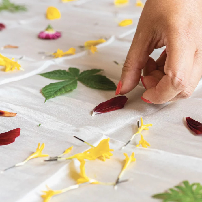 Atelier d'initiation au tatakizome Château et parc de Champs-sur-Marne Champs-sur-Marne