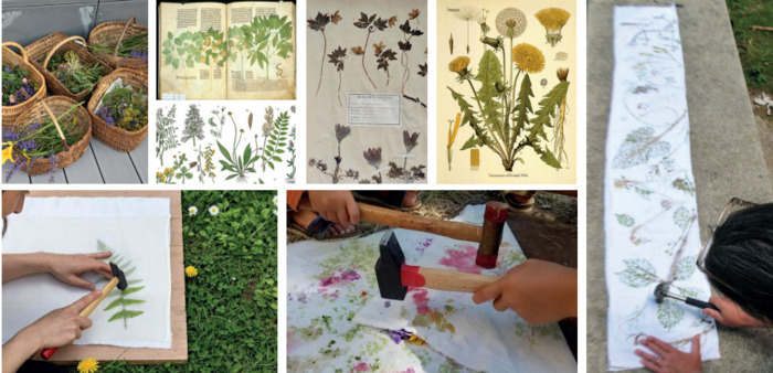 Atelier empreinte végétale, Jardin végétalisé du site archéologique, Saint-Saturnin-du-Bois