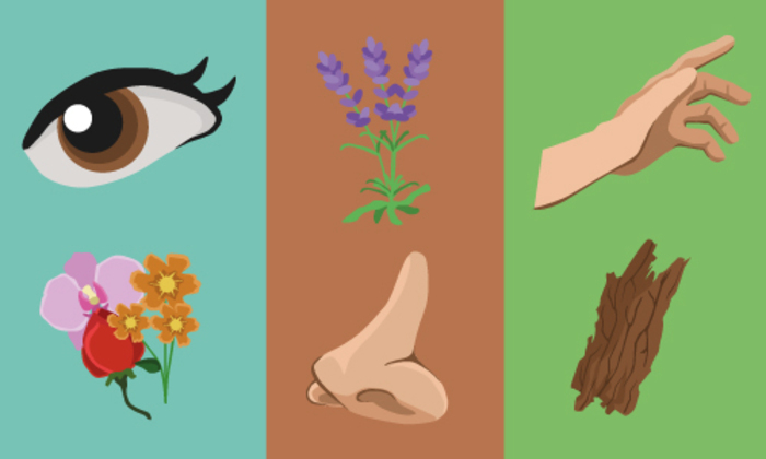 Atelier enfants - Bourgeonnement des sens Jardin botanique de Lyon Lyon