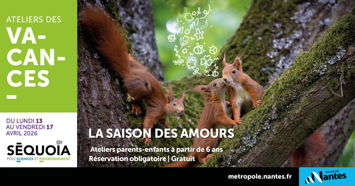 Atelier enfants-parents : la saison des amours, Pôle Sciences Environnement Sequoïa, Nantes