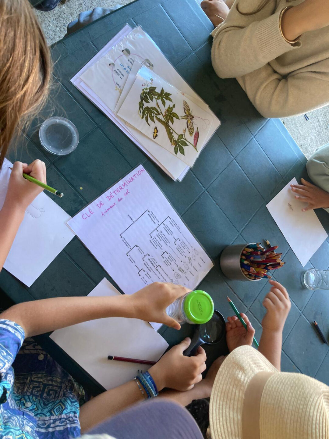 Atelier En[quête] d’insectes 297 avenue de l'Adour Anglet 2026-05-31