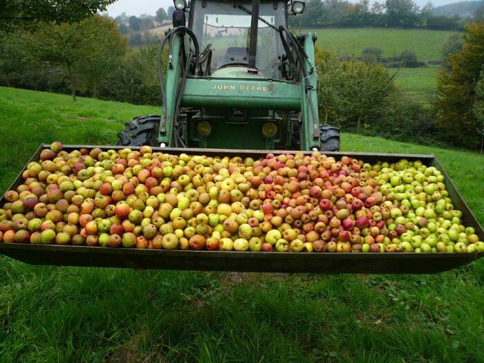 Atelier fabrication de jus de pomme Parking de la Maison de la Rivière et du Paysage Athis-Val-de-Rouvre