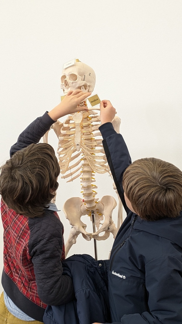 Atelier faire parler les morts, l’archéo-anthropologie Chronographe (Le) Rezé