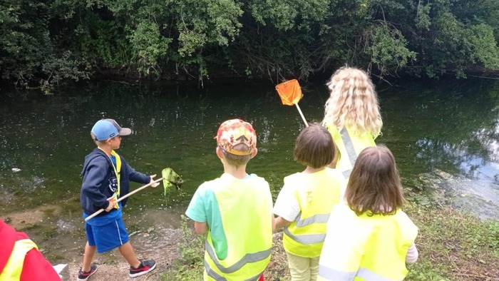 Atelier famille “À vos épuisettes ! découverte des petites bêtes de la mare ”, Musée de la Meunerie – Moulin de Marcy, Le Molay-Littry