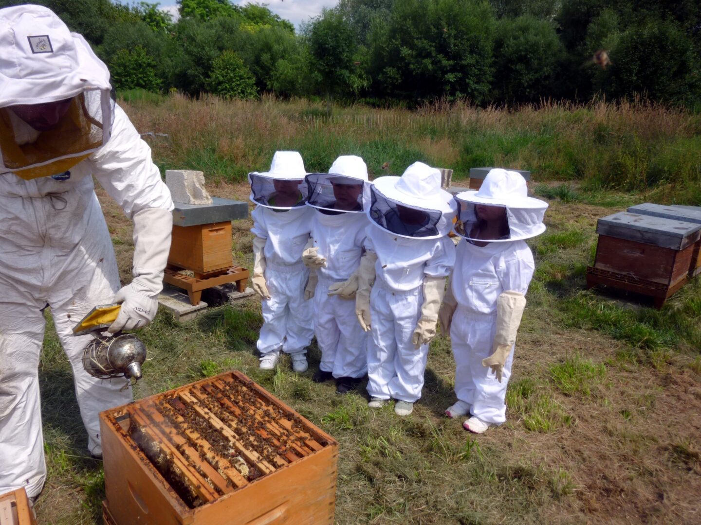 Atelier famille Apiculture  Monts