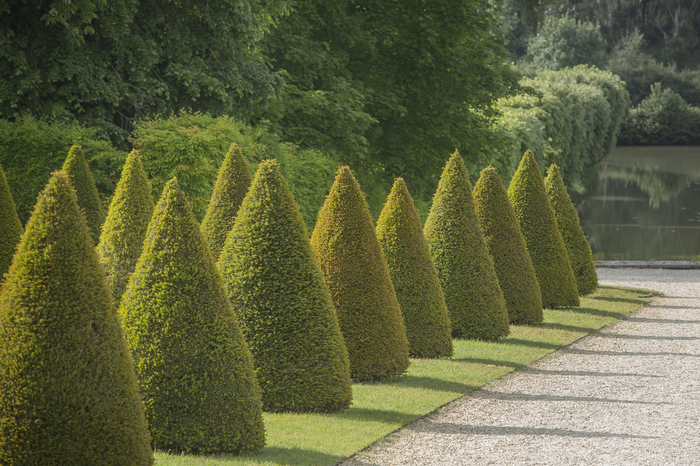 Atelier Famille - Bon pied