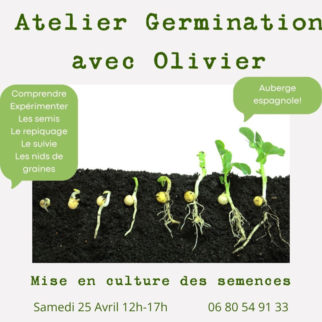 Atelier germination EcoLieu Jeanot Rion-des-Landes