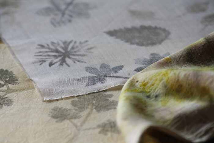 Atelier impressions végétales Maison du parc naturel régional du Morvan Saint-Brisson