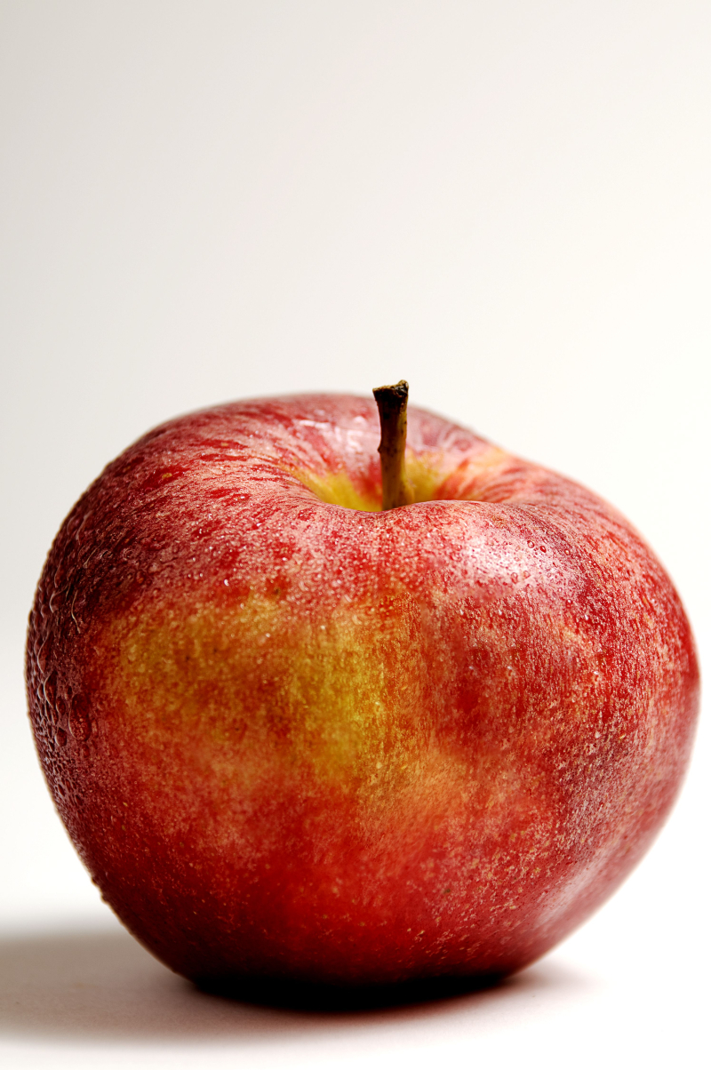 Atelier Ma pomme 1 Rue du 8 Mai Joué-lès-Tours 2026-06-27