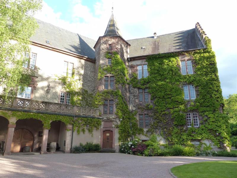 Atelier Mets et Vins Le fromage est roi  Kaysersberg Vignoble