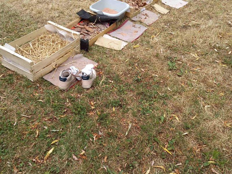 Atelier parents/enfants  Sortir en nature sauvage proche de chez soi   Bitche