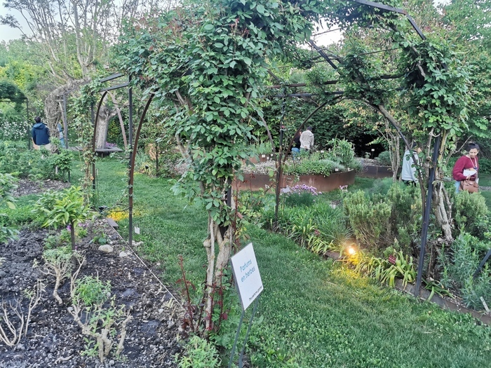 Atelier photo par l’Œil du Goupil, Salagon, musée et jardins, Mane