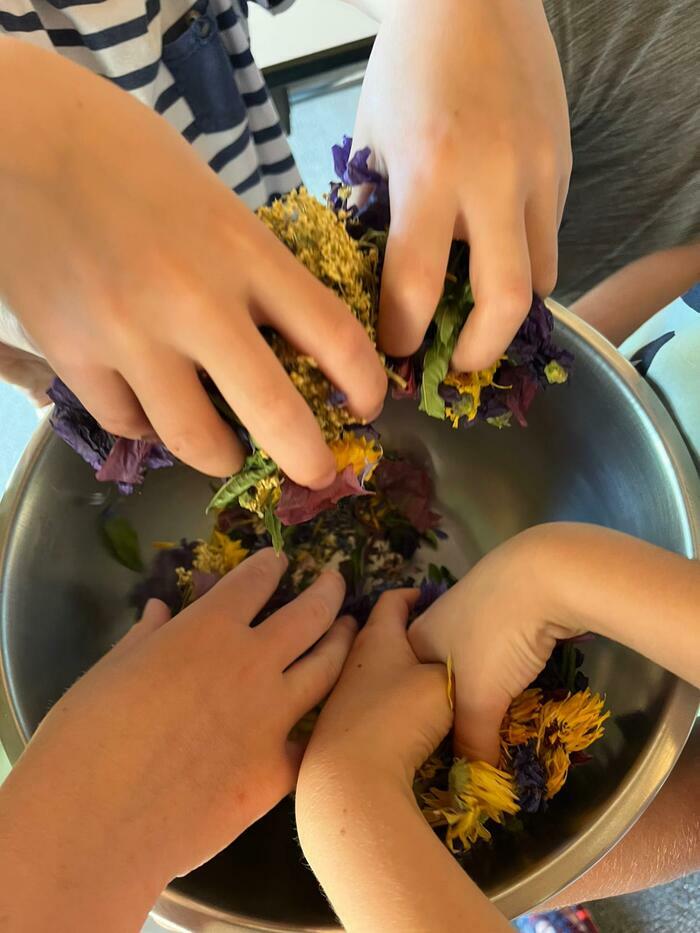 Atelier plantes magiques dans le jardin de l&rsquo;abbaye, Abbaye Notre-Dame d&rsquo;Ambronay, Ambronay