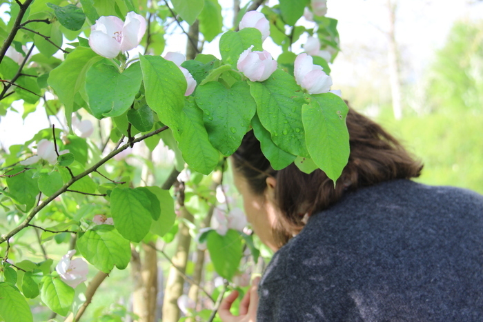 Atelier regard : sieste contemplative, Association Domino, Roquesérière
