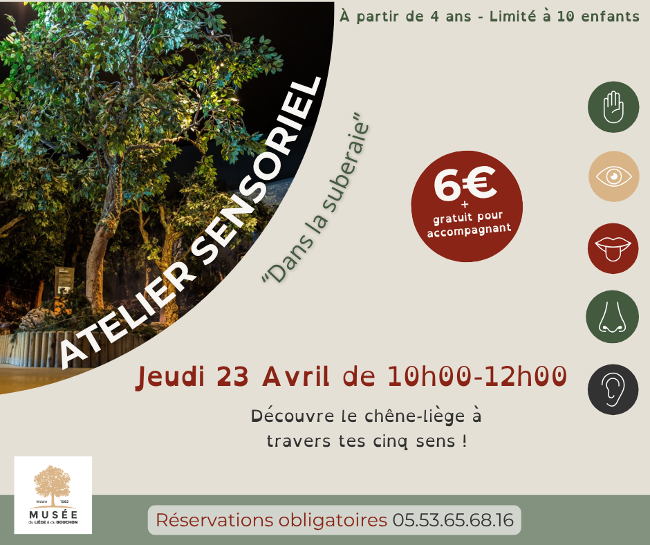 Atelier Sensoriel  Mézin