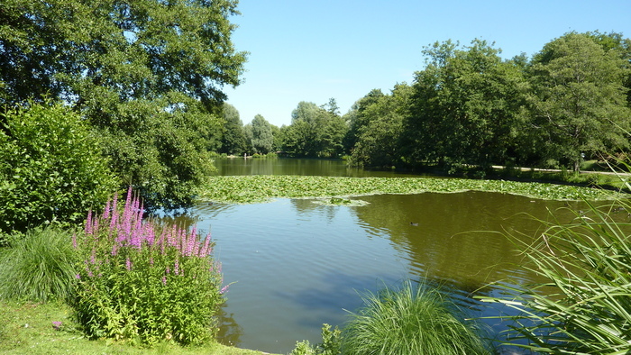 Atelier : si le parc de Rouelles m’était conté Parc de Rouelles Harfleur