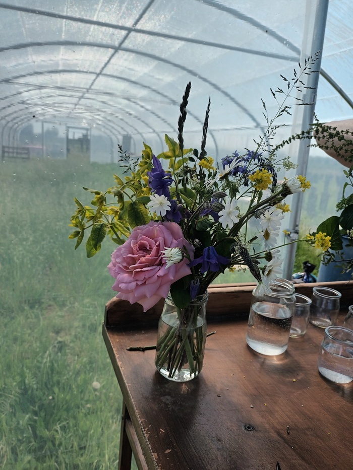 Atelier sur le thème de la vue animé par une productrice de fleur, Jardin Arc-en-Ciel, Saint-Martin-sur-le-Pré