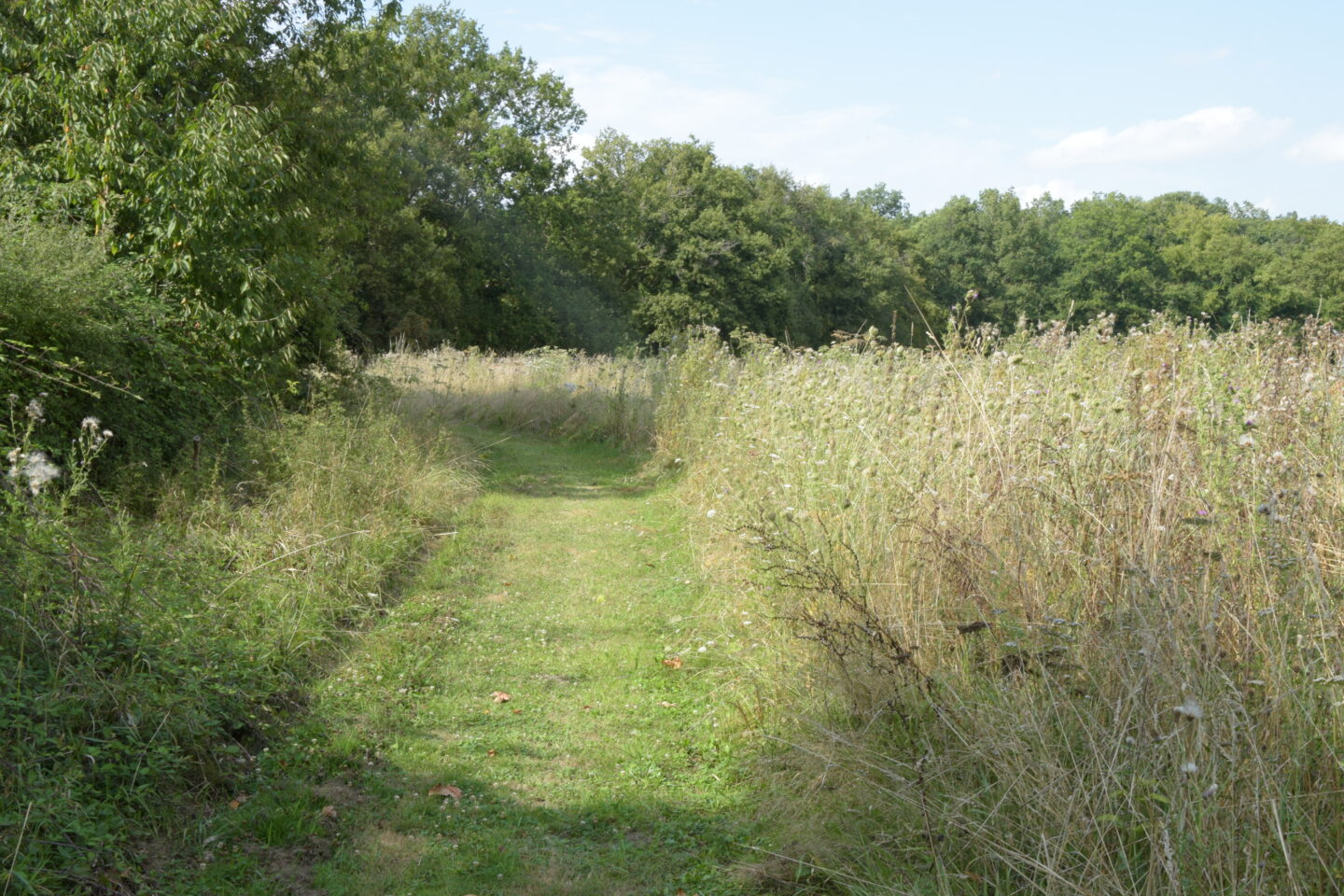 Atelier Tataki-zomé 1 Route Boiscommun Nibelle 2026-08-08
