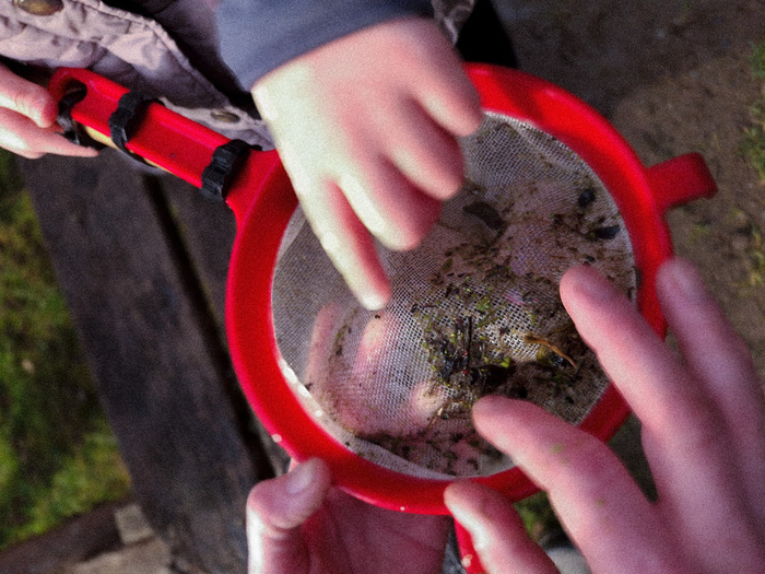 Au fond de l&rsquo;eau, château de rânes, Rânes