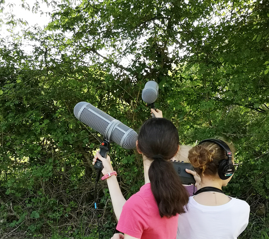 Audio-naturaliste en herbe  Bruère-Allichamps