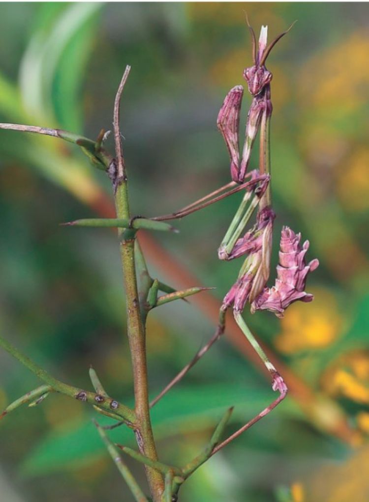 Aventure dans le mini-monde au château d&rsquo;Assier  Assier