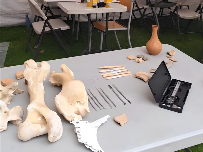 Bac de fouille archéozoologique, Village de l&rsquo;archéologie de Lyon – Centre Berthelot, Lyon