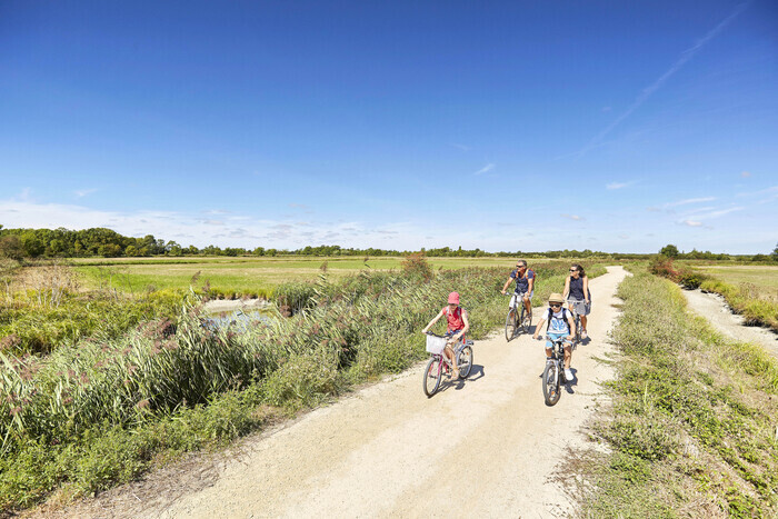 Balade à vélo « à la découverte de la biodiversité entre bocage et marais », Vallée du Bigon, Bois-de-Céné