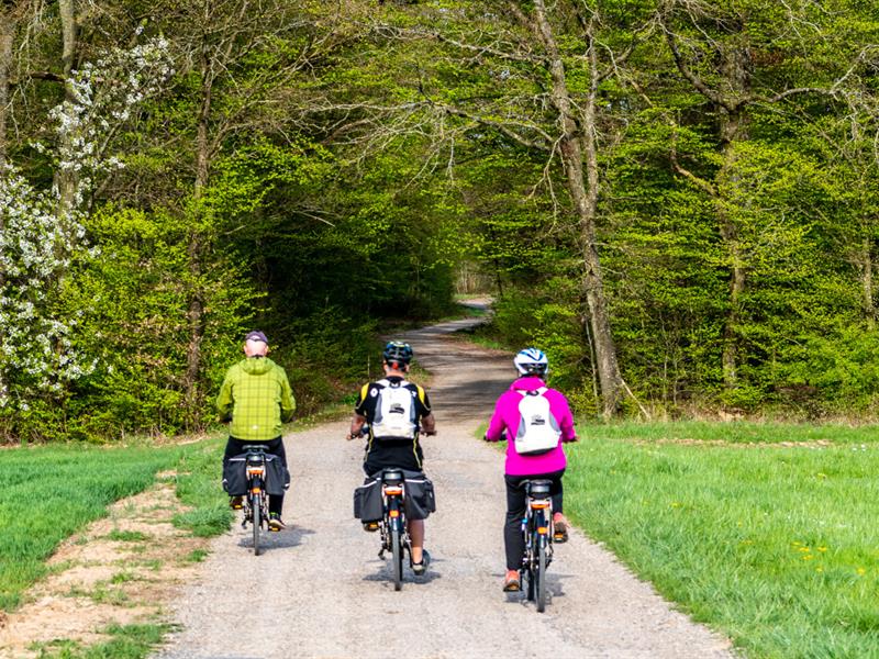 Balade à vélo Rue du Wiselstein Freyming-Merlebach