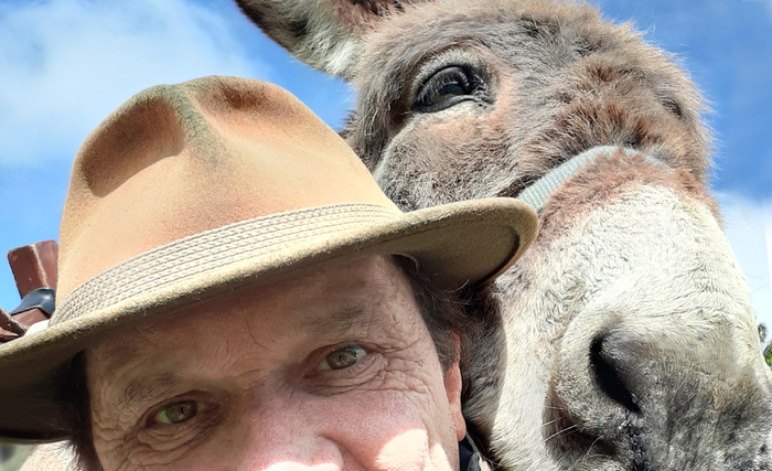 Balade au crépuscule, Domaine de Villarceaux, Chaussy