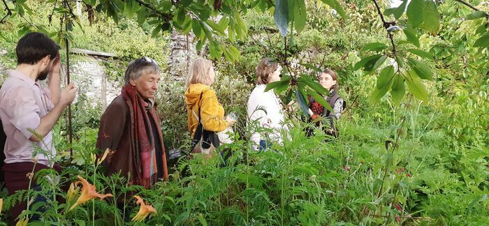 Balade botanique et poétique au crépuscule (Murs à Pêches, Montreuil), Imp. Gobetue, 93100 Montreuil, France, Montreuil