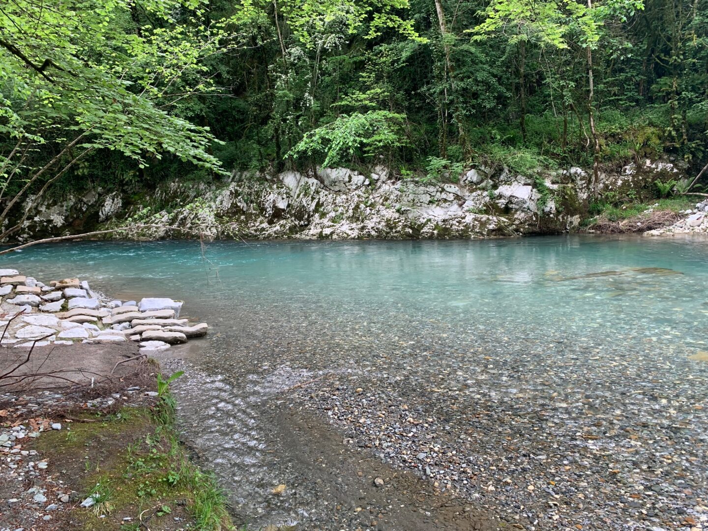 Balade botanique et repas Les Plantes Sauvages Comestibles Perm&rsquo;Hart Arthez-d&rsquo;Asson