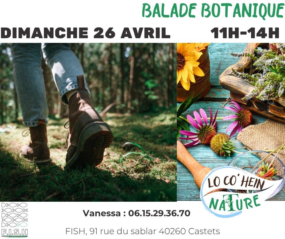 Balade botanique  Taller