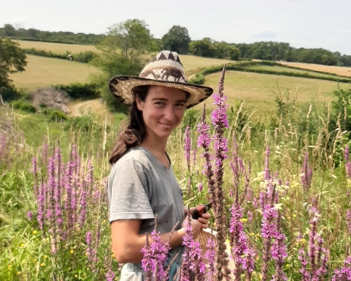 Balade champêtre : découverte des usages des plantes sauvages, Maison du parc naturel régional du Morvan, Saint-Brisson