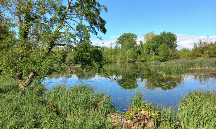 Balade contée à Long Maison éclusière de Long Long