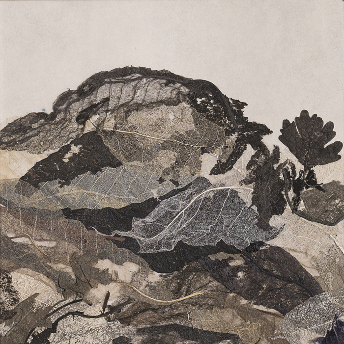 Balade contée autour de la nature, Musée-Bibliothèque François Pétrarque, Fontaine-de-Vaucluse