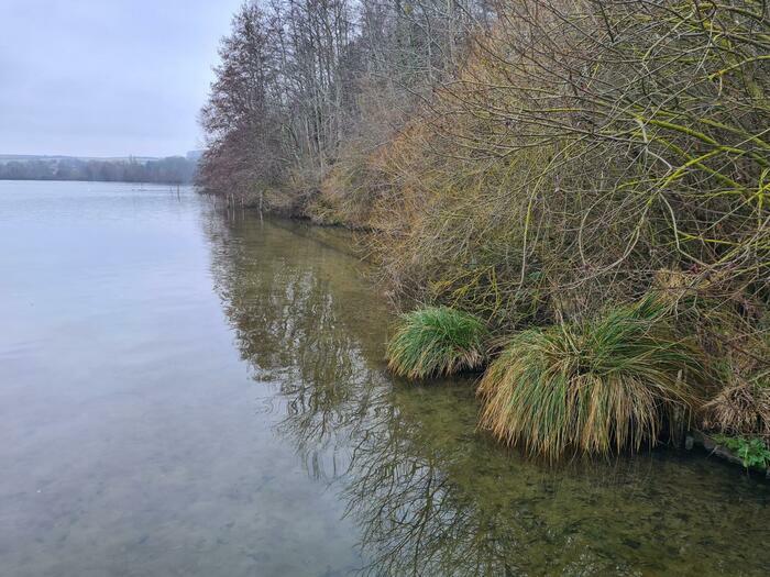 Balade contée – Cléry-sur-Somme, Etangs de Cléry-sur-Somme, Cléry-sur-Somme