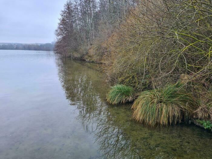 Balade contée – Cléry-sur-Somme, Etangs de Cléry-sur-Somme, Cléry-sur-Somme