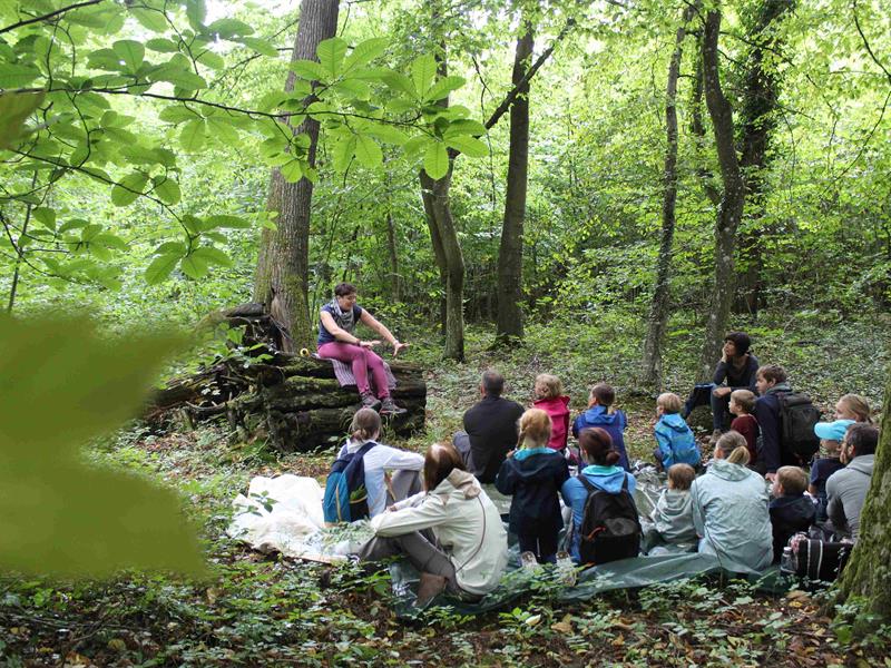 Balade contée &lsquo;Echos de la forêt&rsquo;  Bitche