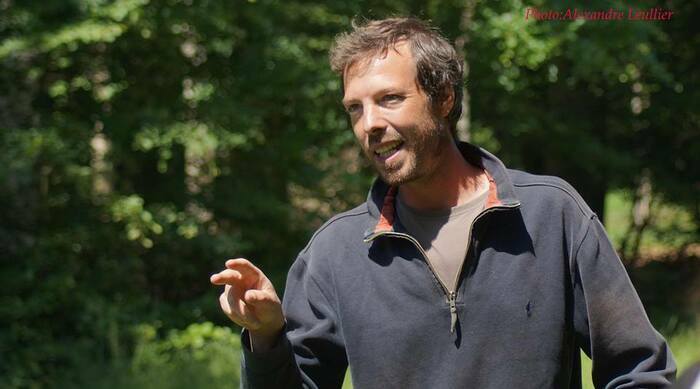 Balade contée en forêt de Crécy, Forêt de Crécy, Crécy-en-Ponthieu