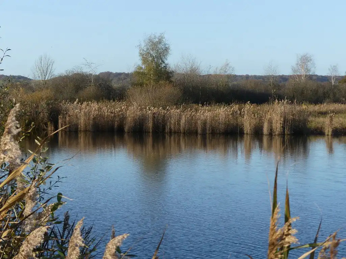 Balade contée – Etang de Sacy-le-Grand, Les marais communaux de Sacy-le-Grand, Sacy-le-Grand
